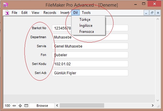 Filemaker çoklu dil language