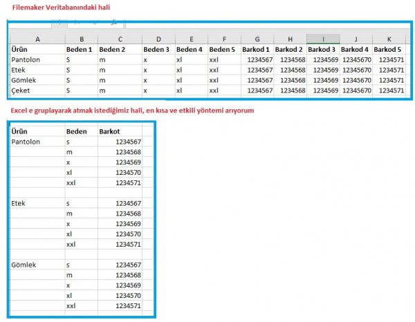 Filemaker excel veri data export grup group